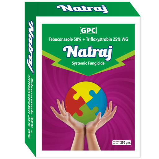 Natraj